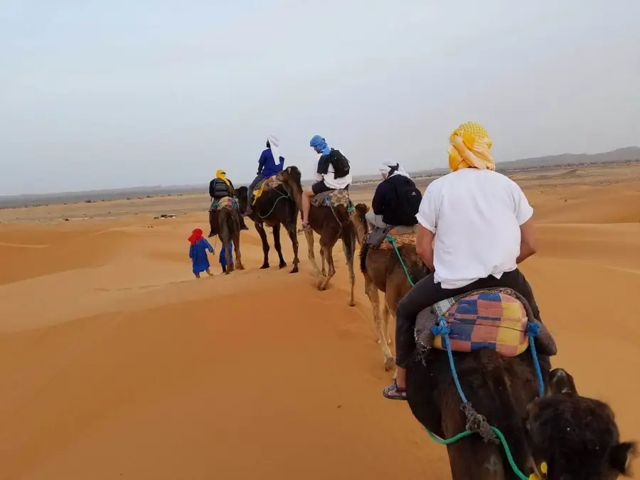 Camel caravan walking through the Sahara dunes
